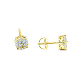 Petty Earrings